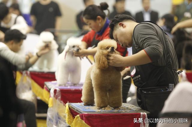初三女孩適合什么職業(yè)學校(初三畢業(yè)女孩子讀技校讀什么)