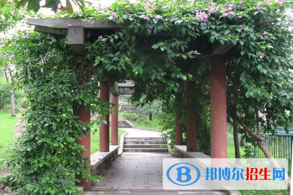 重慶幼師哪個學校最好(重慶幼師學校地點)
