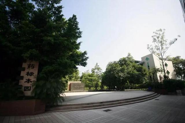 重慶口碑好的職業(yè)學(xué)校有哪些(重慶電訊職業(yè)學(xué)?？诒趺礃?