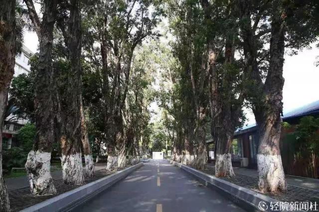 重慶口碑好的職業(yè)學(xué)校有哪些(重慶電訊職業(yè)學(xué)校口碑怎么樣)
