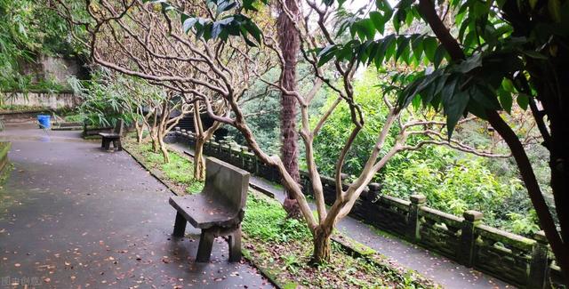 四川師范類專科有哪些學(xué)校(四川最好的師范類?？?