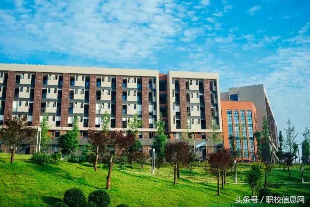 四川理工技師學院是大專嗎(四川理工技師學院是成人大專嗎)