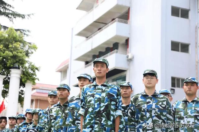 哪里有職高學校(河北省哪里的職高學校好)