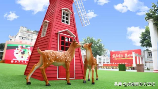 哪里有職高學校(河北省哪里的職高學校好)