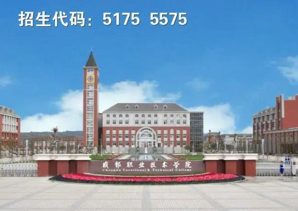 關(guān)于四川的護理專業(yè)的學(xué)校的信息