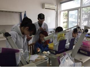 成都鐵路衛(wèi)生職業(yè)學校在哪里(成都鐵路衛(wèi)生職業(yè)學校是公辦還是民辦)
