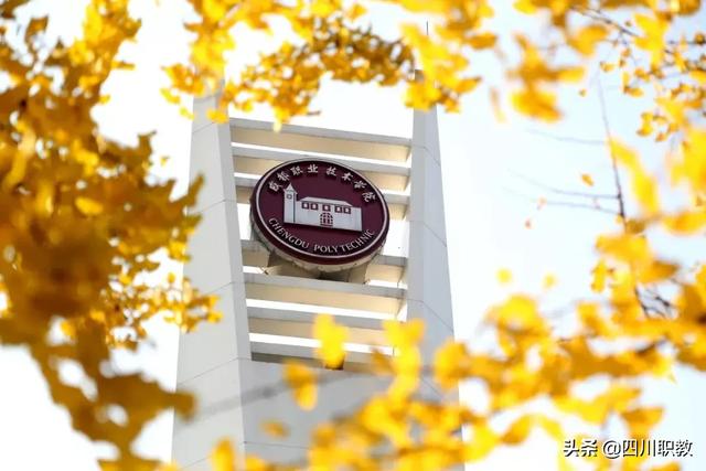 成都職業(yè)技術(shù)學(xué)院單招專業(yè)(長春職業(yè)技術(shù)學(xué)院單招專業(yè))