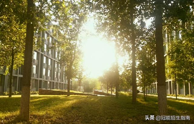 四川哪的護(hù)士學(xué)校好的簡(jiǎn)單介紹