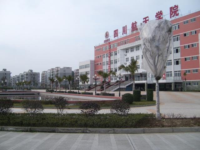 四川職業(yè)航空技術(shù)學(xué)校(四川天府新區(qū)航空職業(yè)學(xué)校怎么樣)圖3