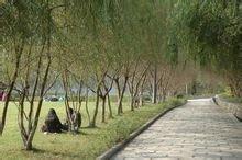 德陽(yáng)幼師學(xué)校(德陽(yáng)幼師職業(yè)學(xué)校)